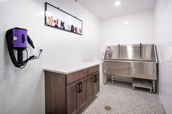 Indoor dog wash station